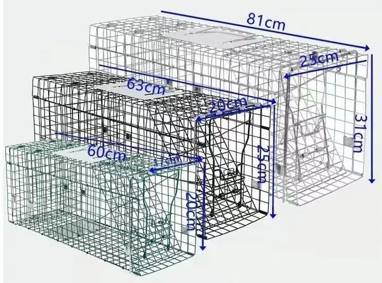 Hot sale for Armadillos, Cats, and Other Similar-Sized galvanized or PVC coated  animal trap cage