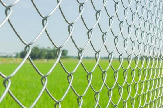 Powder Coated 6 Foot 9 Gauge Chain Link Fence Galvanized