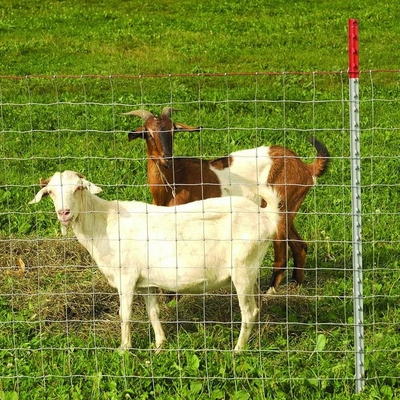 1.5mm Galvanized Wire Farm Fence Gate 4 Ft Livestock Gate