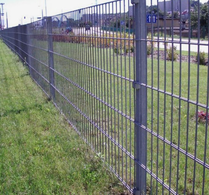 200X50mm Welded Mesh Fencing 6/5/6 8/6/8 Double Wire Mesh Fence
