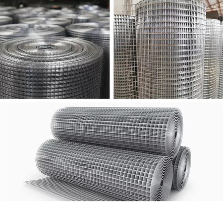 1/4"-8" Aperture Welded Iron Wire Mesh Pvc Coated Hot Galvanized For Fencing